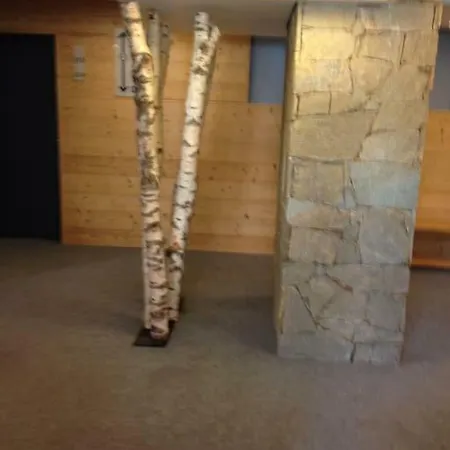 Le Flocon - Le Grand Sud Appartement